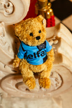 Load image into Gallery viewer, Fleadh Cheoil na hÉireann Belfast 2026 Teddy Bear in T-Shirt