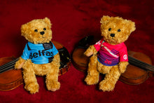 Load image into Gallery viewer, Fleadh Cheoil na hÉireann Belfast 2026 Teddy Bear in T-Shirt