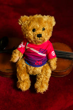 Load image into Gallery viewer, Fleadh Cheoil na hÉireann Belfast 2026 Teddy Bear in T-Shirt